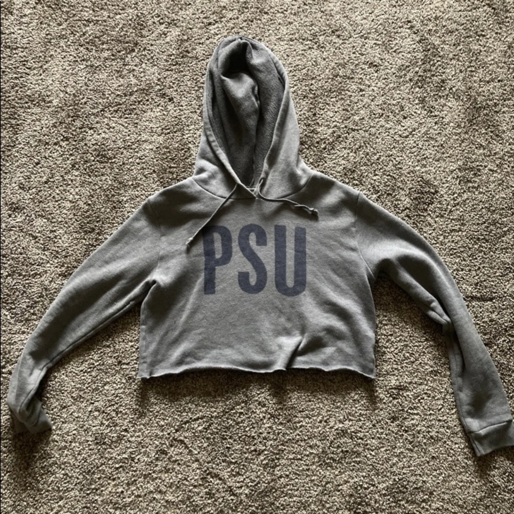 Cropped Penn State hoodie